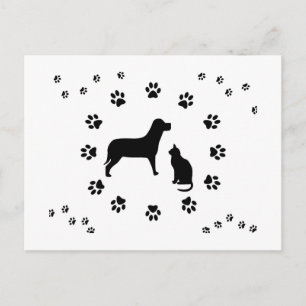Dog and Cat Postcard