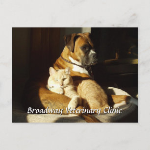Dog and Cat Veterinary Appointment Postcard