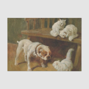 Dog and Cats by Arthur Heyer Tissue Paper