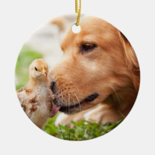 Dog and Chick Ceramic Ornament