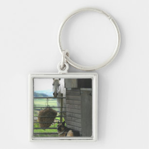 Dog and horse at ranch in Menton, France Keychain