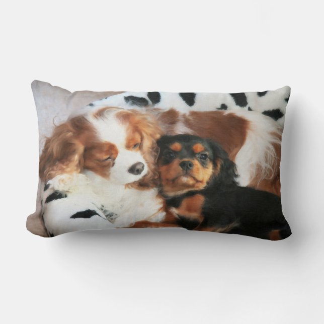 Dog And Puppy Cavalier King Charles Spaniel Pillow (Front)