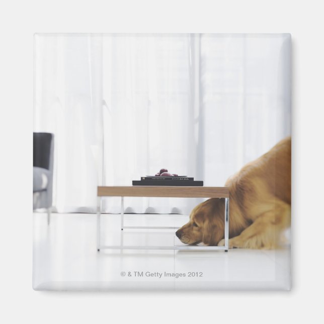 Dog and table magnet (Front)