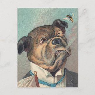 Dog and Wasp Vintage Illustration Postcard