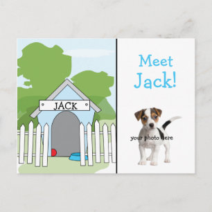 Dog Announcement - Boy Postcard
