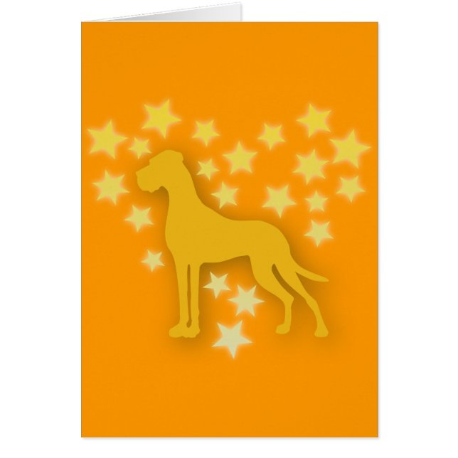 Dog as Stars (Front)