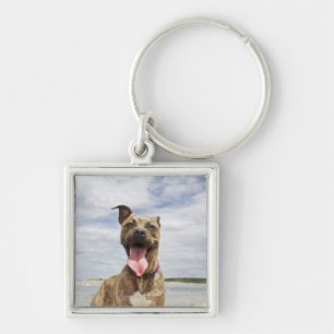 dog at beach keychain