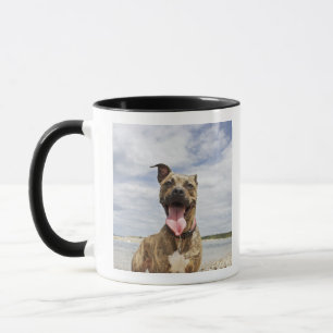 dog at beach mug