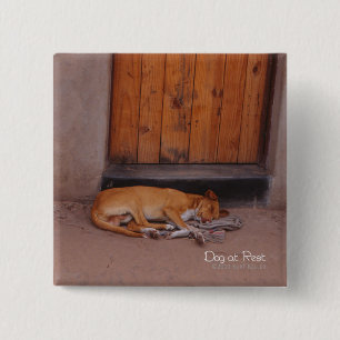 Dog at Rest 2 Inch Square Button
