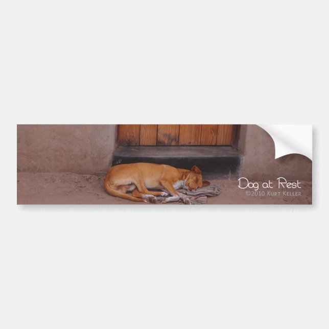 Dog at Rest Bumper Sticker (Front)