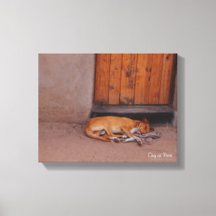 Dog at Rest Canvas Print