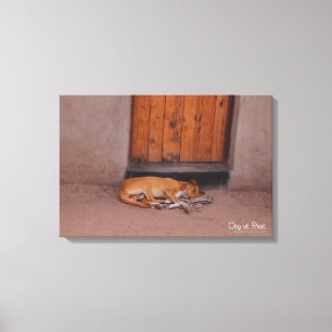 Dog at Rest Canvas Print