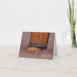 Dog at Rest Card