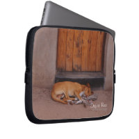 Dog at Rest