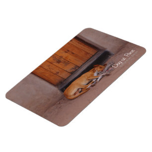 Dog at Rest Magnet