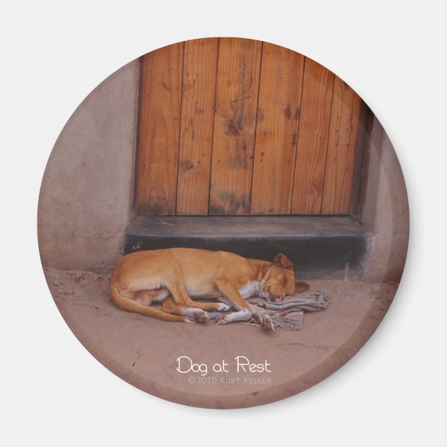 Dog at Rest Round Magnet (Front)