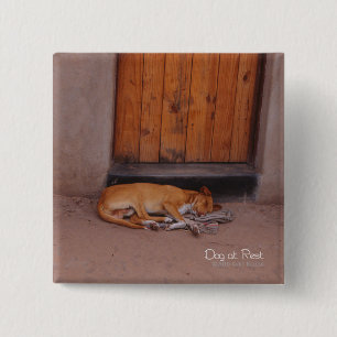 Dog at Rest Square Button