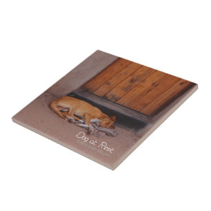 Dog at Rest Tile