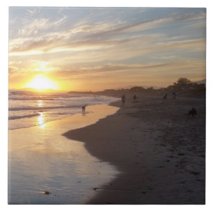 Dog at Sunset California Dreaming Tile