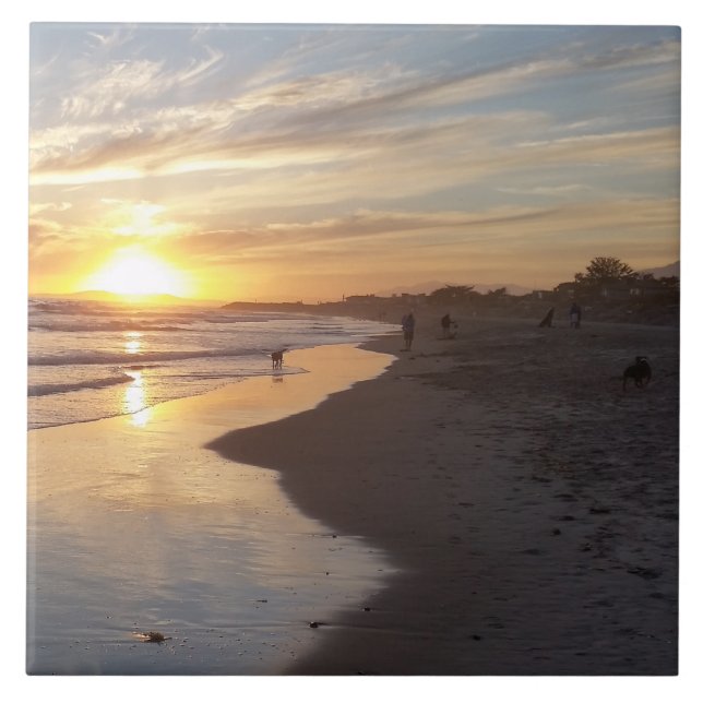 Dog at Sunset California Dreaming Tile (Front)