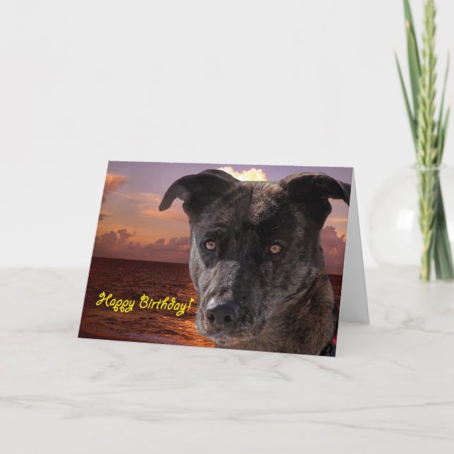 Dog at the Beach, Happy Birthday Card (Front)