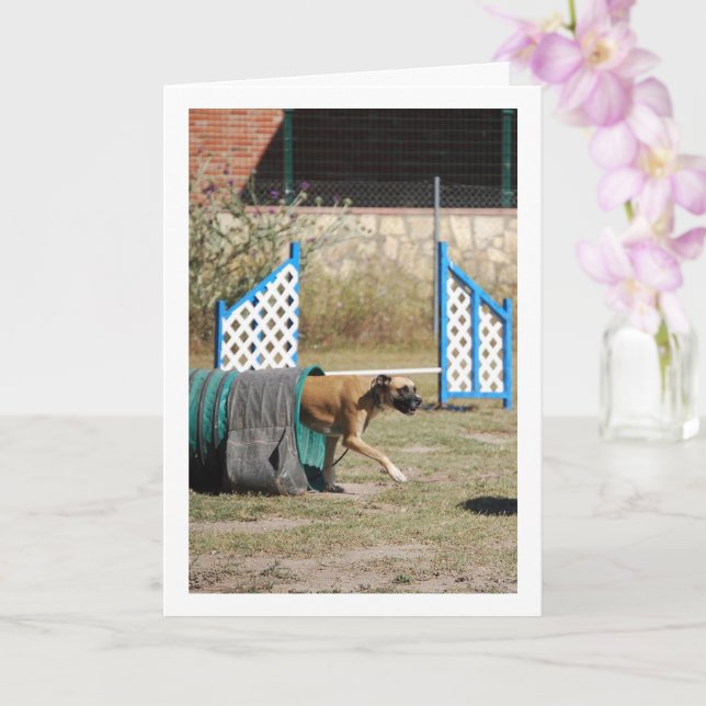 Dog at Training School Card (Orchid)