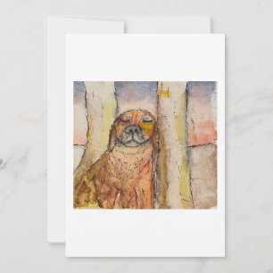 Dog Basking in the Sun Greeting Card
