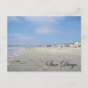 Dog Beach Postcard