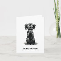 Dog Begging for Forgiveness, Late Birthday Wishes