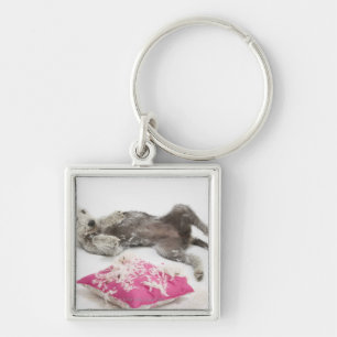 Dog behaviour training keychain