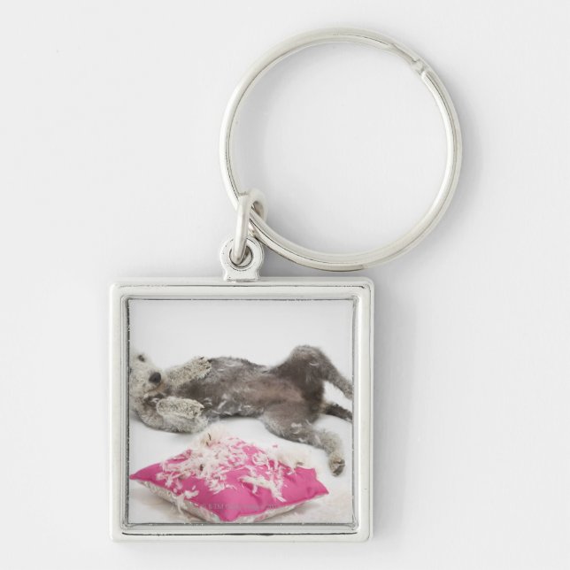 Dog behaviour training keychain (Front)