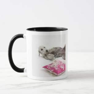 Dog behaviour training mug