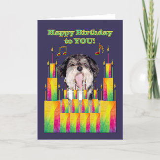 Dog Birthday Cakes Singing Card
