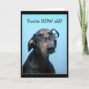 Dog birthday funny greeting card