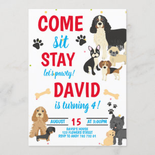 Dog Birthday Pawty Boys Birthday Invitation