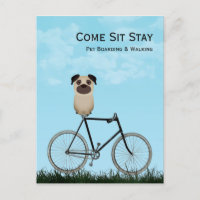 Dog Boarding, Walking, Sitting, Training Business