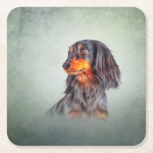 Dog breed long haired dachshund square paper coaster