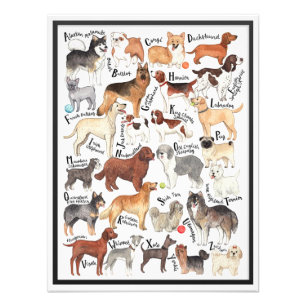 Dog Breeds Photo Print