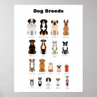 Dog breeds poster.