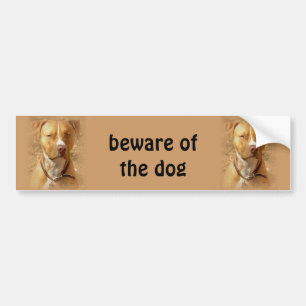 dog bumper sticker
