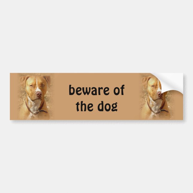 dog bumper sticker (Front)
