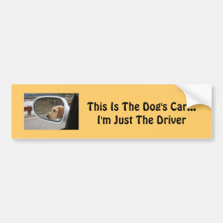 Dog Bumper Sticker