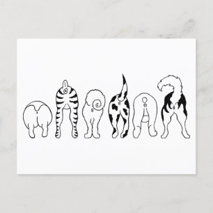 Dog Butts Postcard
