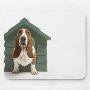 Dog by doghouse mouse pad