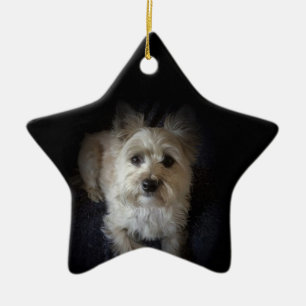 Dog Cairn Terrier Canine “Dog Lover” Star Orna Ceramic Ornament