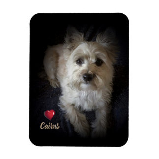 Dog Cairn Terrier “Dog Lover” Flexible Magnet