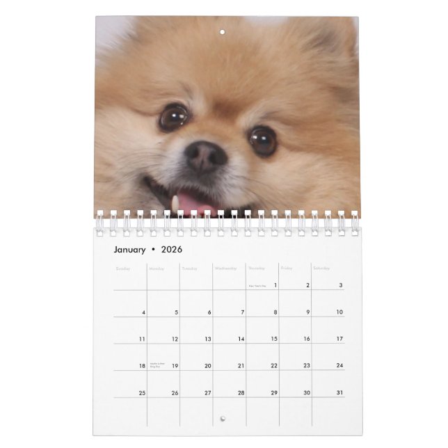Dog Calendar (Jan 2026)