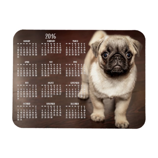 Dog calendar 2016 Photo Small Magnet 3x4 (Horizontal)