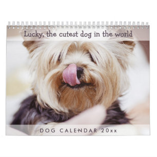 Dog Calendar 2026 Add Your Cute Photos