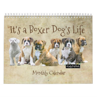 Dog Calendars - Cute Boxer Puppies